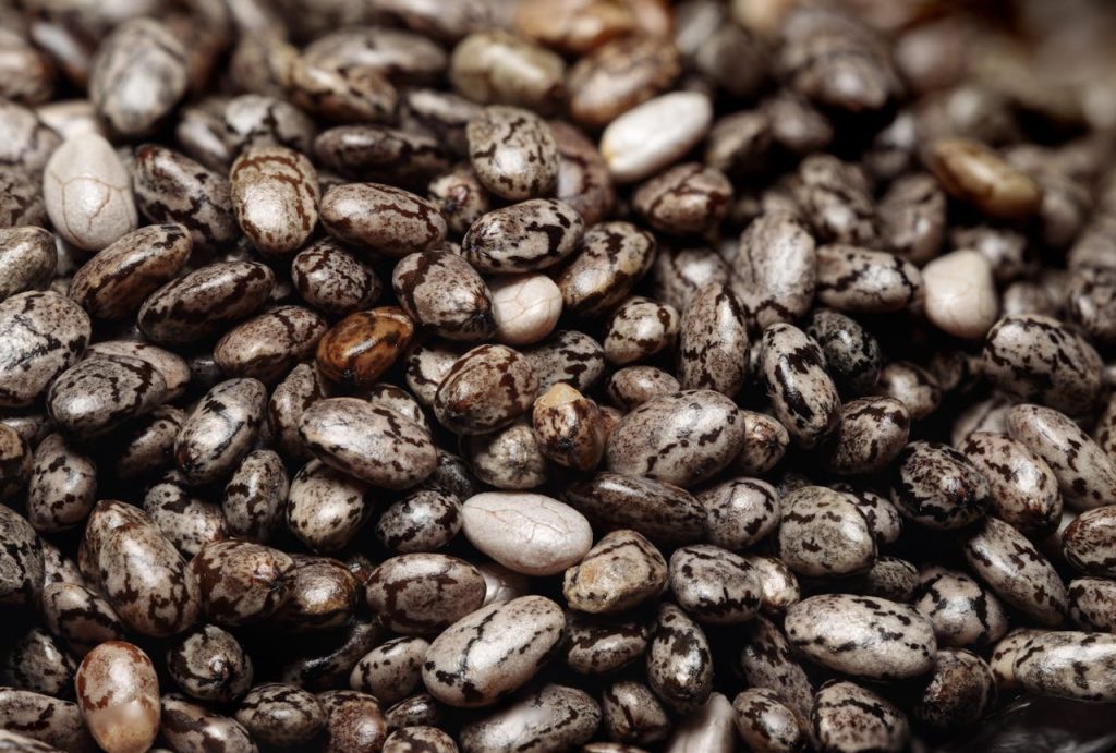 Detailed macro shot of chia seeds, highlighting their texture and nutritional value for a healthy diet.