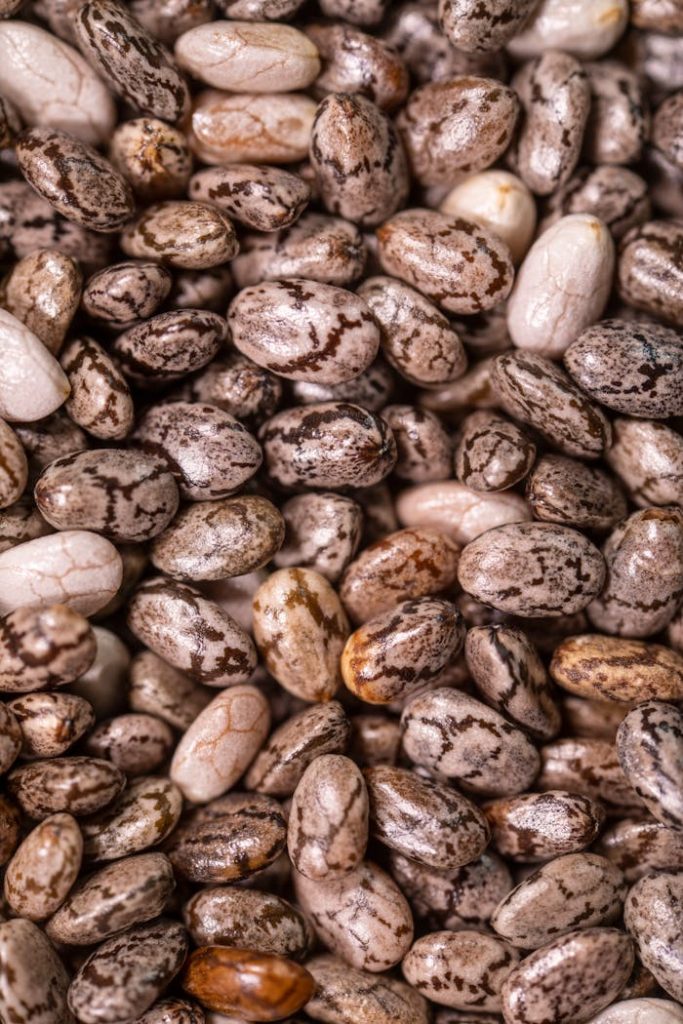 Detailed close-up of a pile of patterned beans showcasing texture and organic shapes.