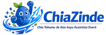 cropped logo.png